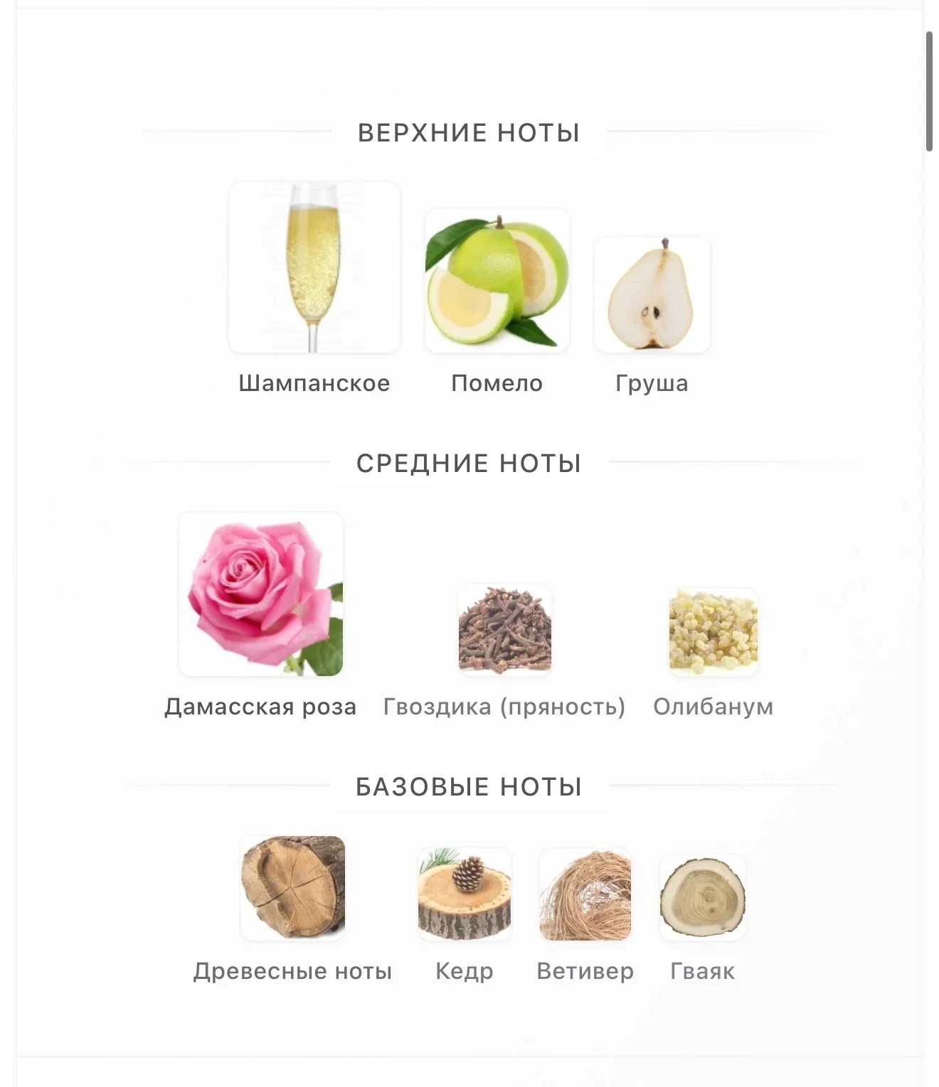 Dom Rosa Liquides Imaginaires парфюм ниша - миниатюра 3