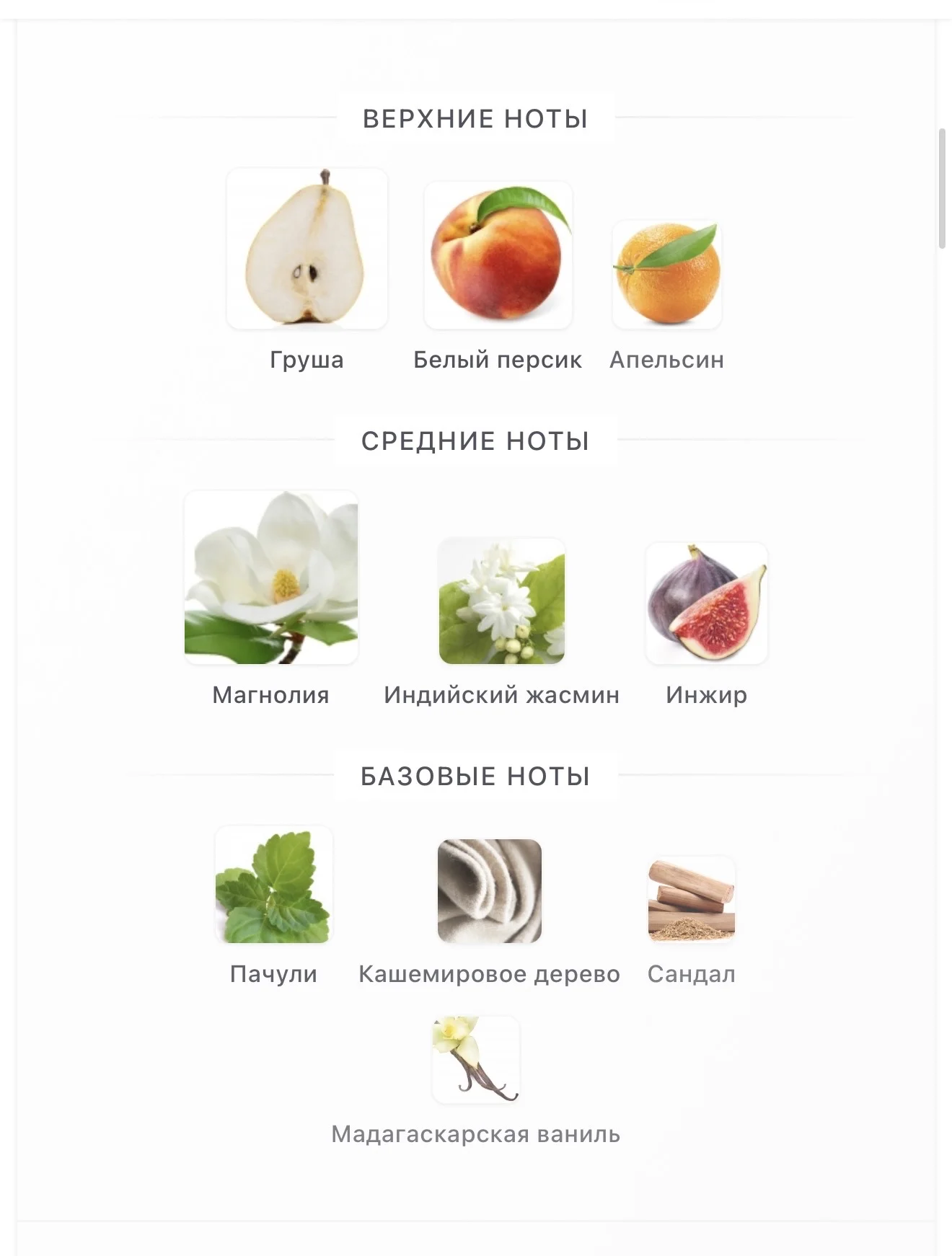 Cristallo Bianco Fabbrica Della Musa парфюм - миниатюра 3