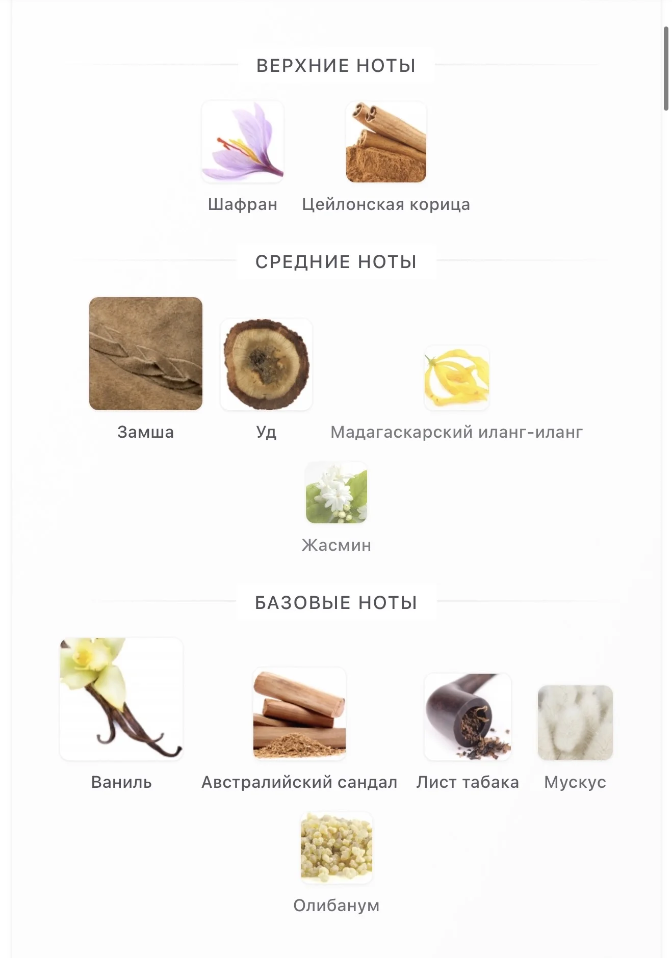 Silky Woods Goldfield & Banks Australia - миниатюра 3