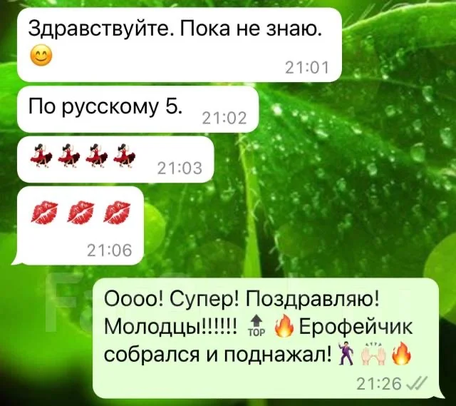 Репетитор русского языка 5-11 классы, ОГЭ, ЕГЭ - миниатюра 2