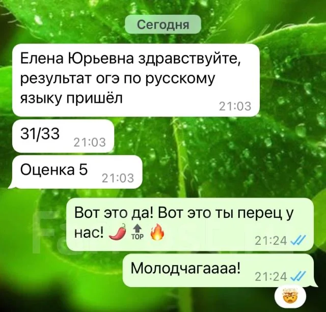 Репетитор русского языка 5-11 классы, ОГЭ, ЕГЭ - миниатюра 3