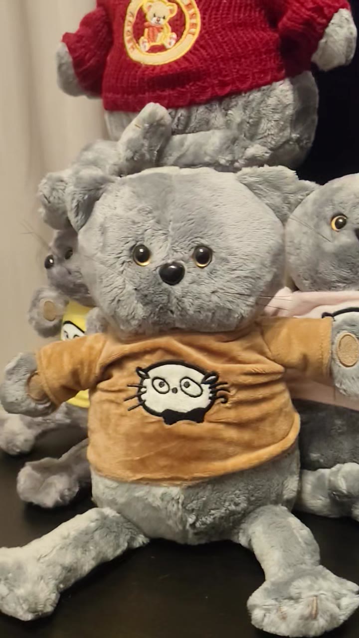 Кот Басик - видео 5