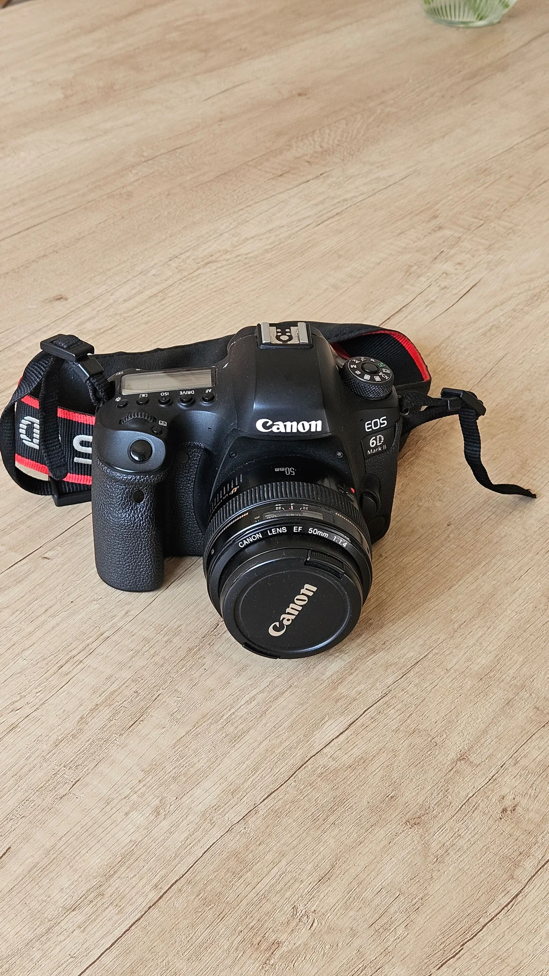 Canon 6D Mark II + Canon EF 50mm f/1.4 USM