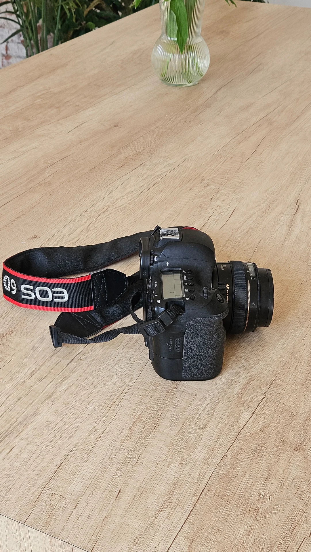 Canon 6D Mark II + Canon EF 50mm f/1.4 USM - миниатюра 2