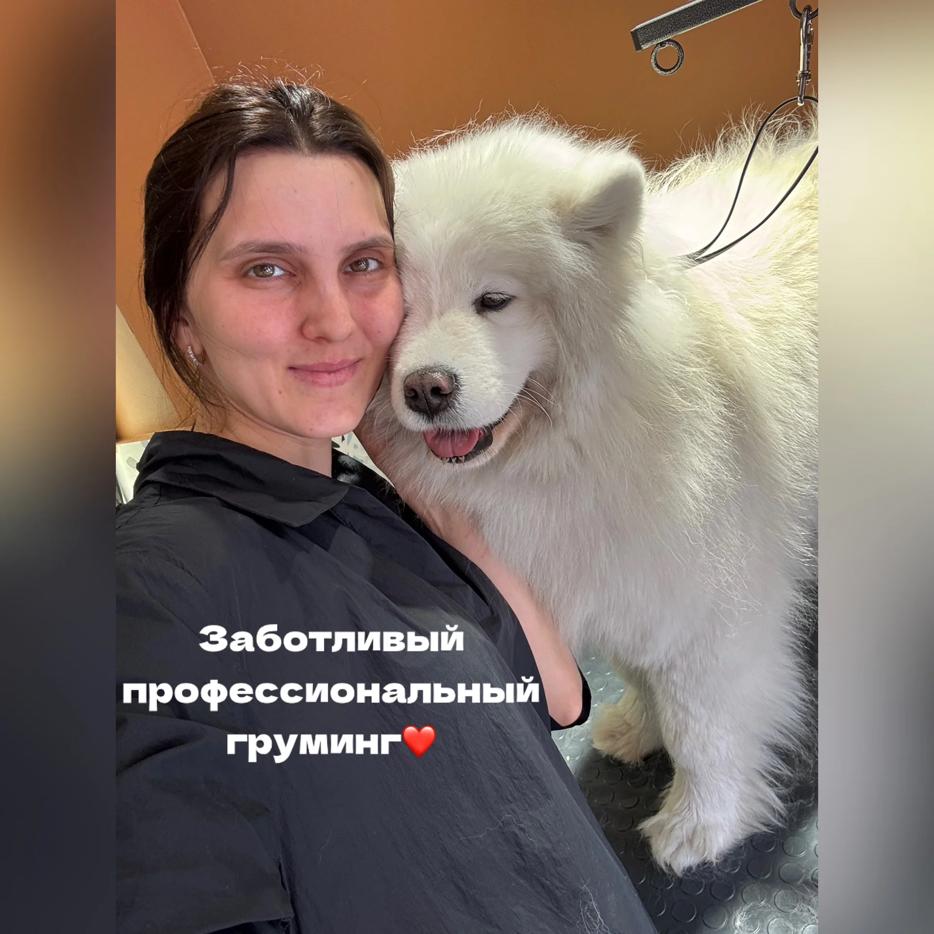 Стрижка собак и кошек - изображение 1