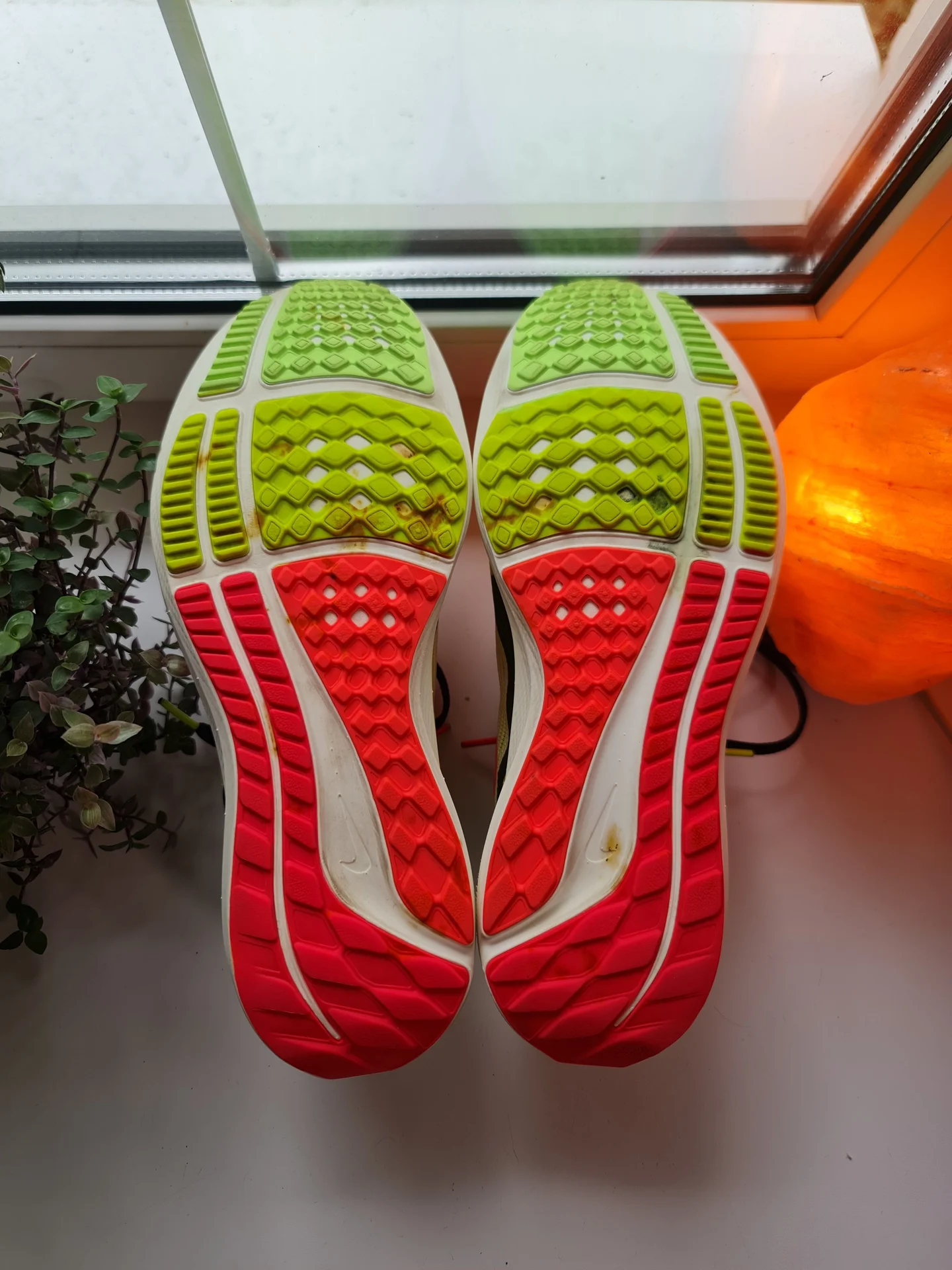 Nike Air Zoom Pegasus 40 PRM Оригинал - миниатюра 7