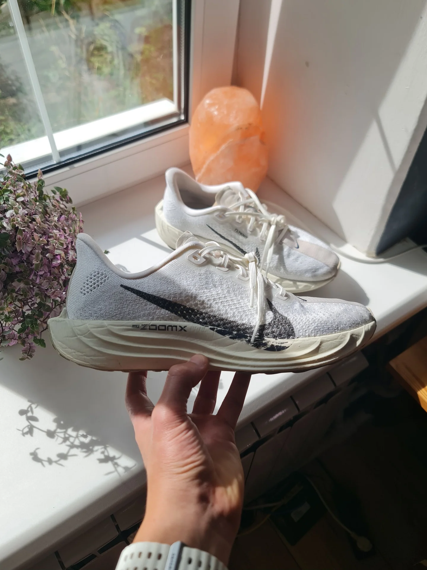 Nike Pegasus Plus Оригинал - изображение 1