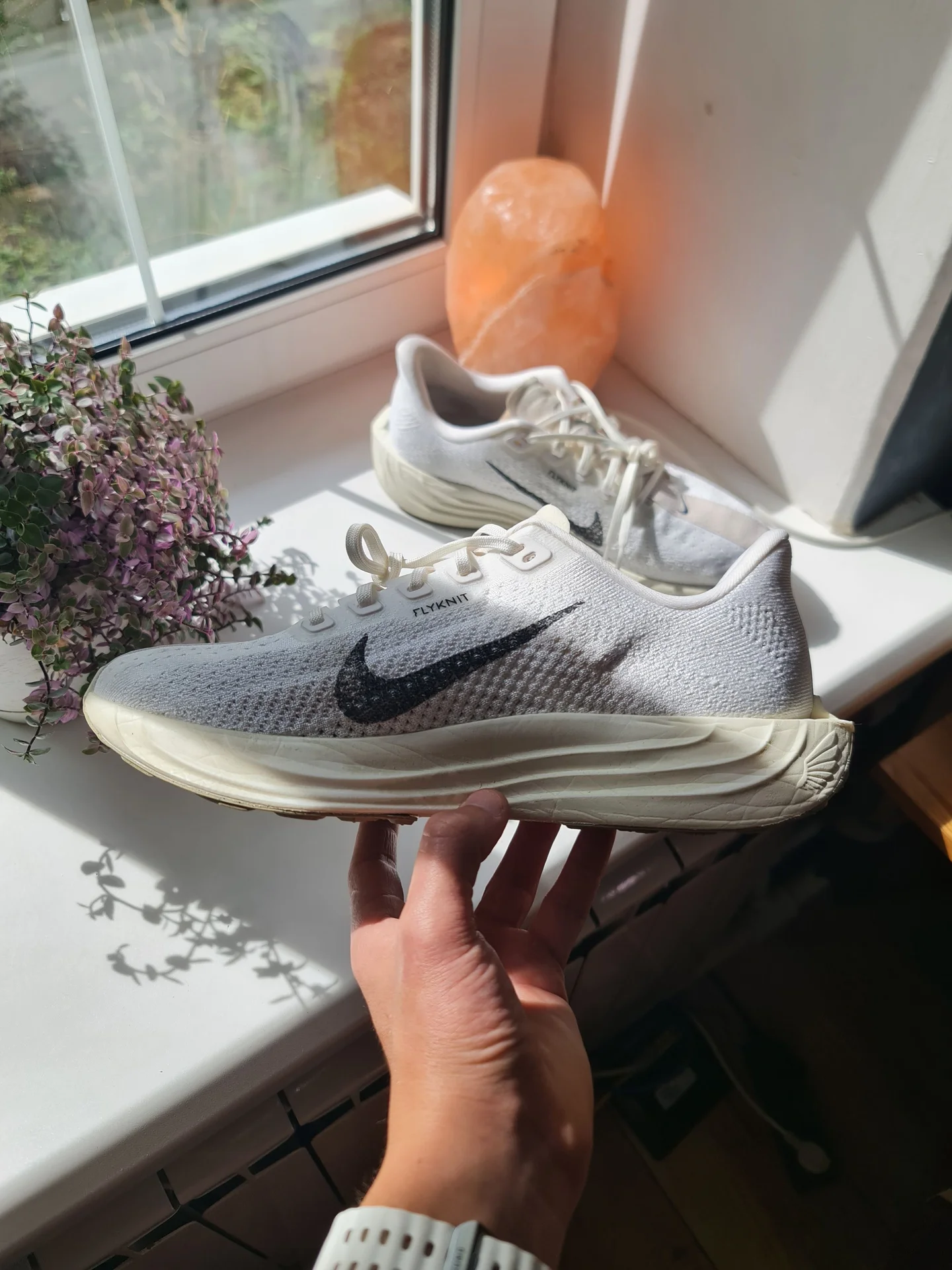 Nike Pegasus Plus Оригинал - миниатюра 2
