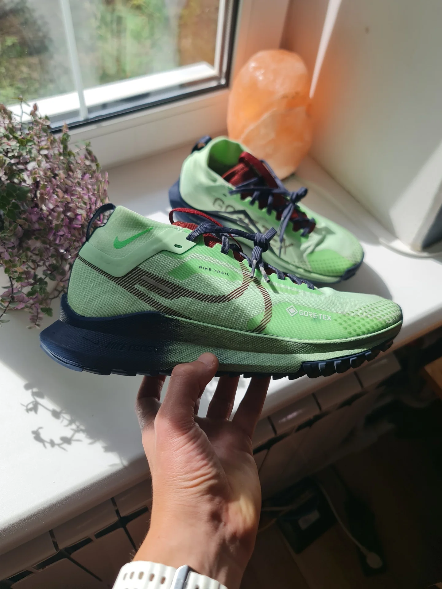 Nike Pegasus Trail 4 GTX GORE-TEX Оригинал