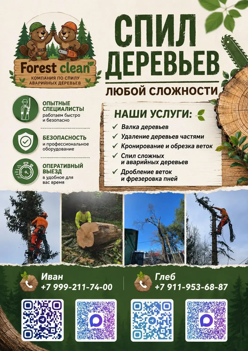Спил деревьев - изображение 1