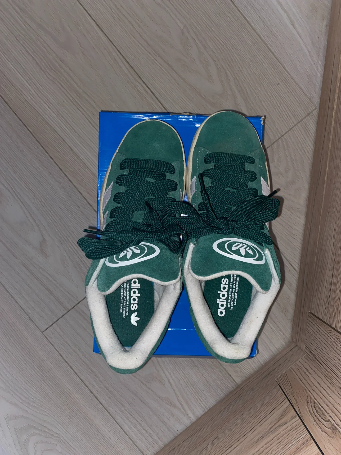 Подростковые кроссовки adidas campus зеленые 00s - миниатюра 4