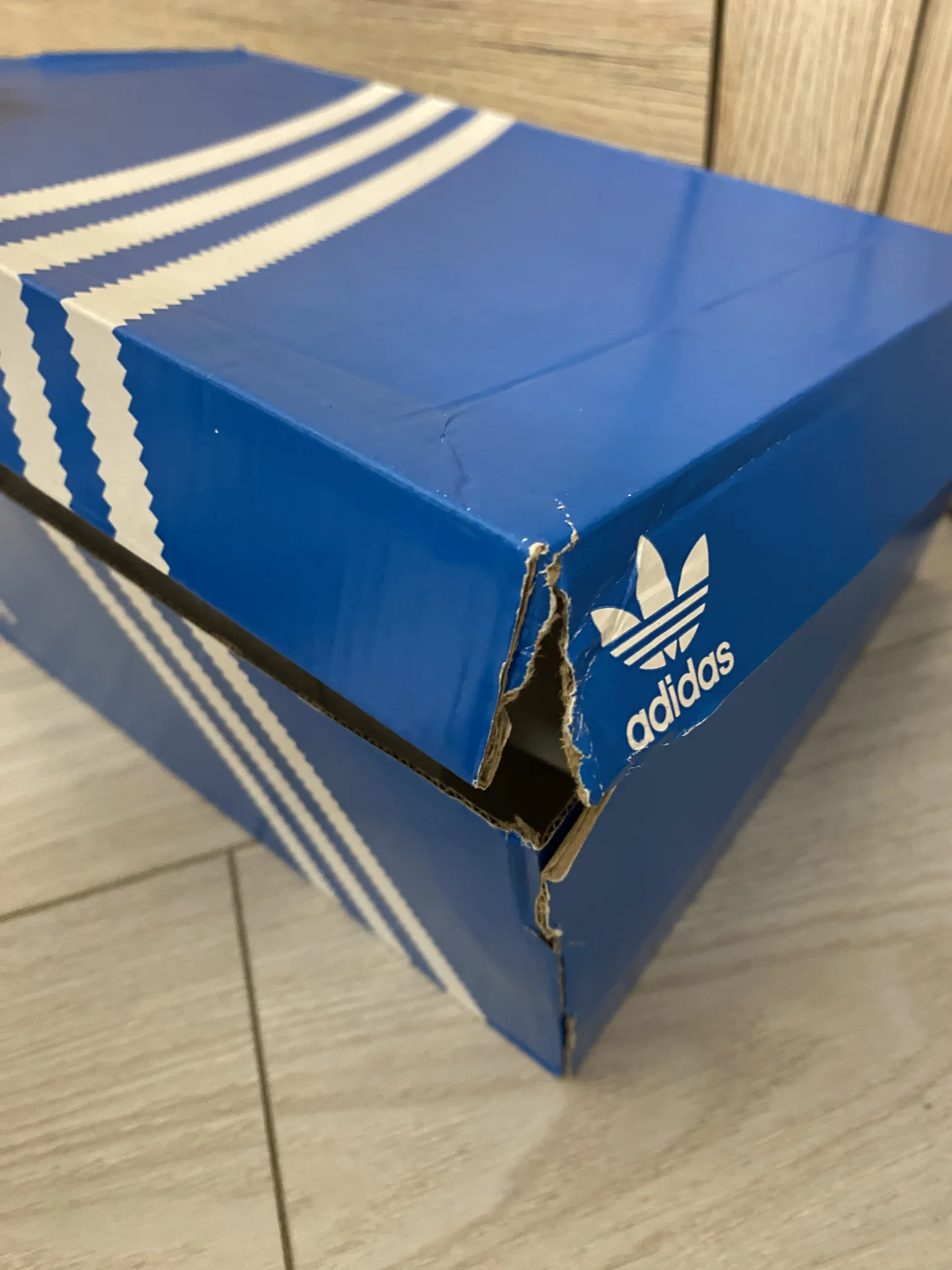 Подростковые кроссовки adidas campus зеленые 00s - миниатюра 8