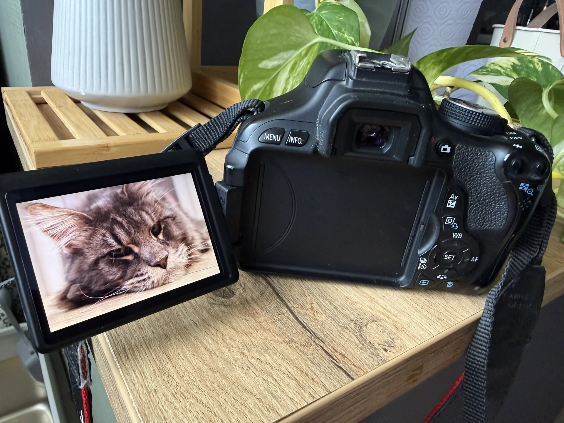 Canon EOS 600D с объективом EF-S 18–55mm IS II - миниатюра 2