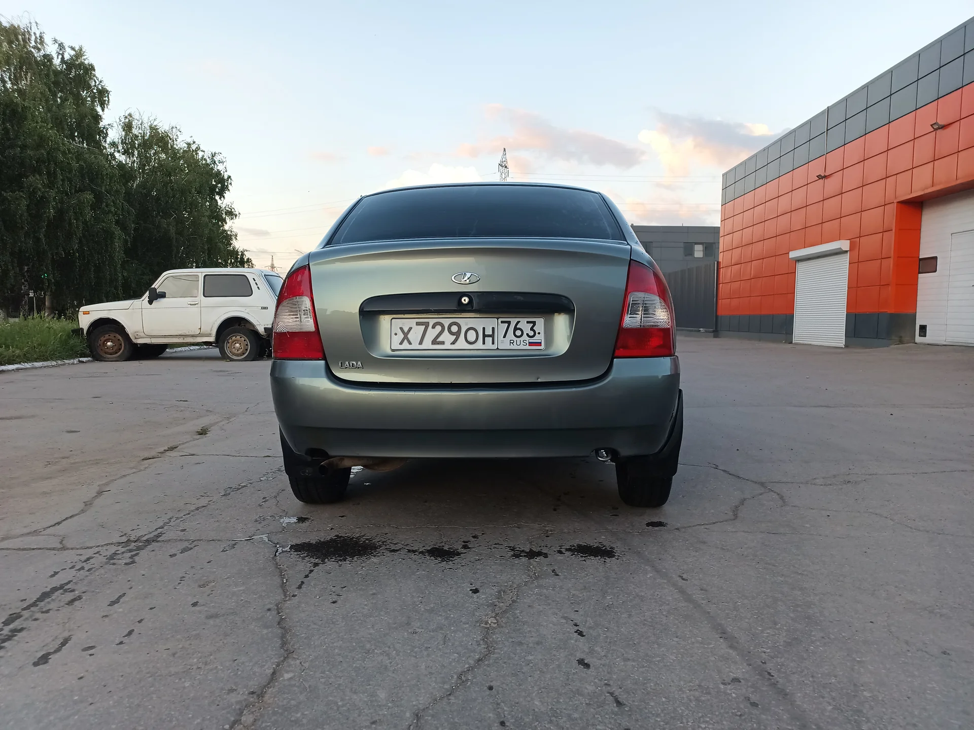 Продам калину - изображение 1