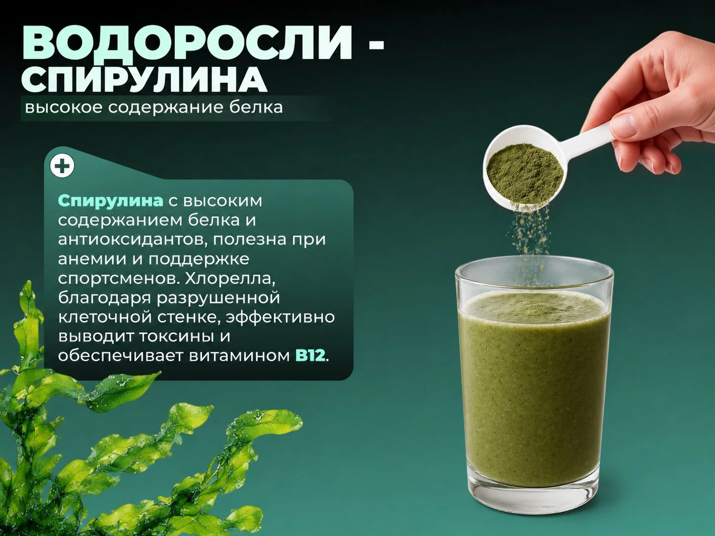 Клетчатка органическая - миниатюра 2
