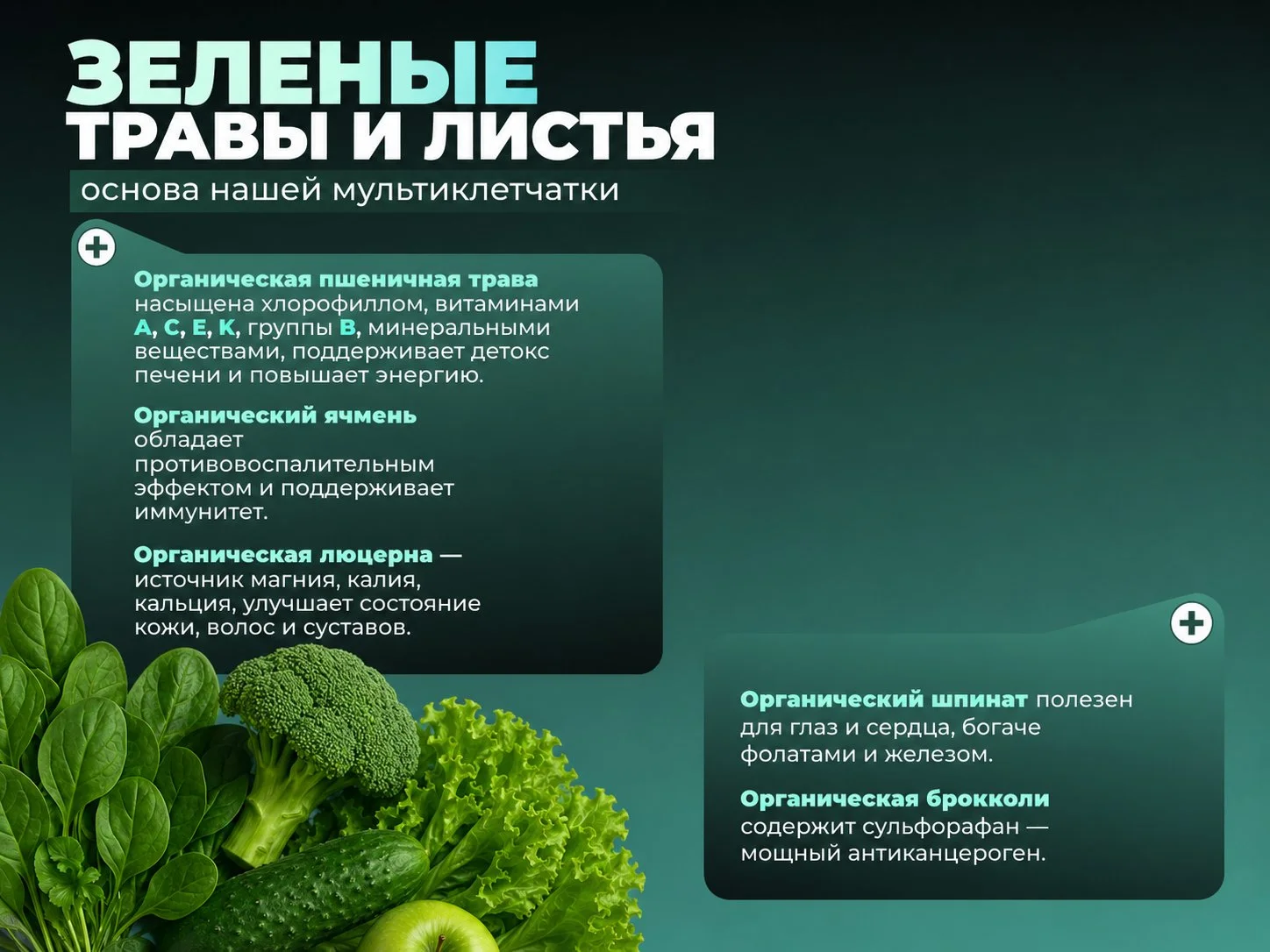Клетчатка органическая - миниатюра 4