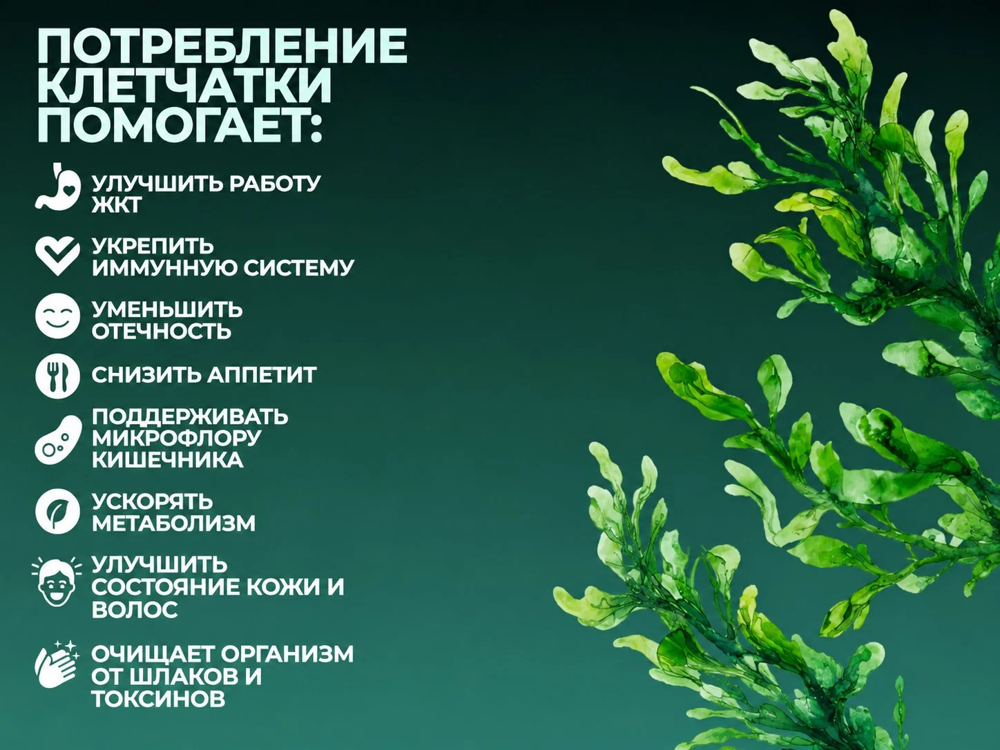 Клетчатка органическая - миниатюра 7