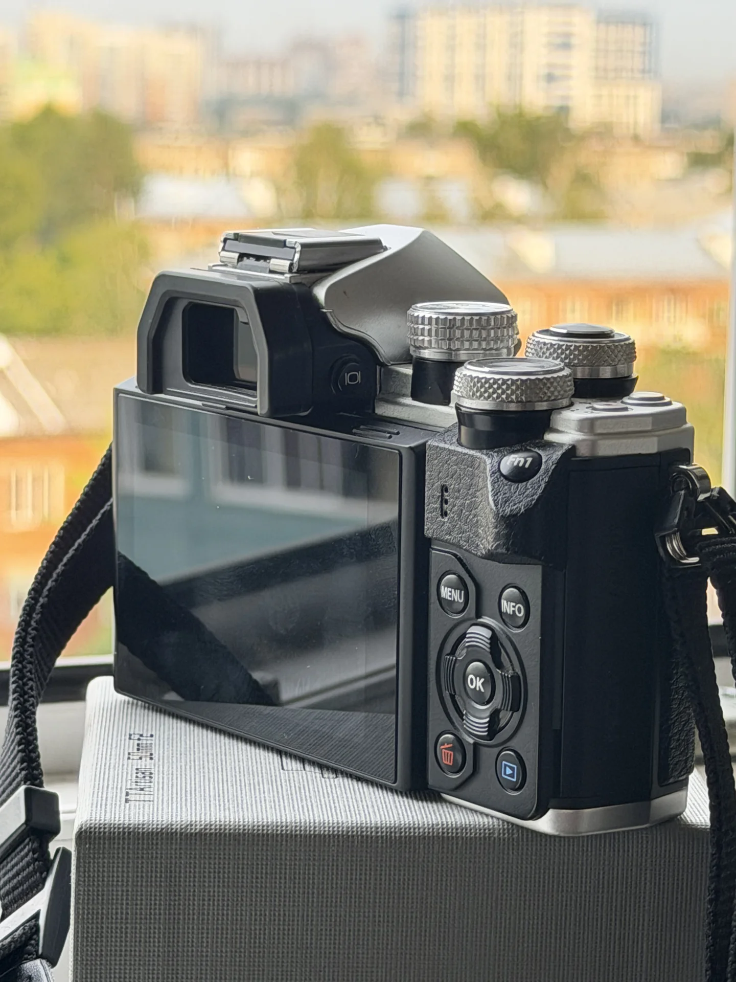 фотоаппарат Olympus OM-D E-M10 Mark II - изображение 1