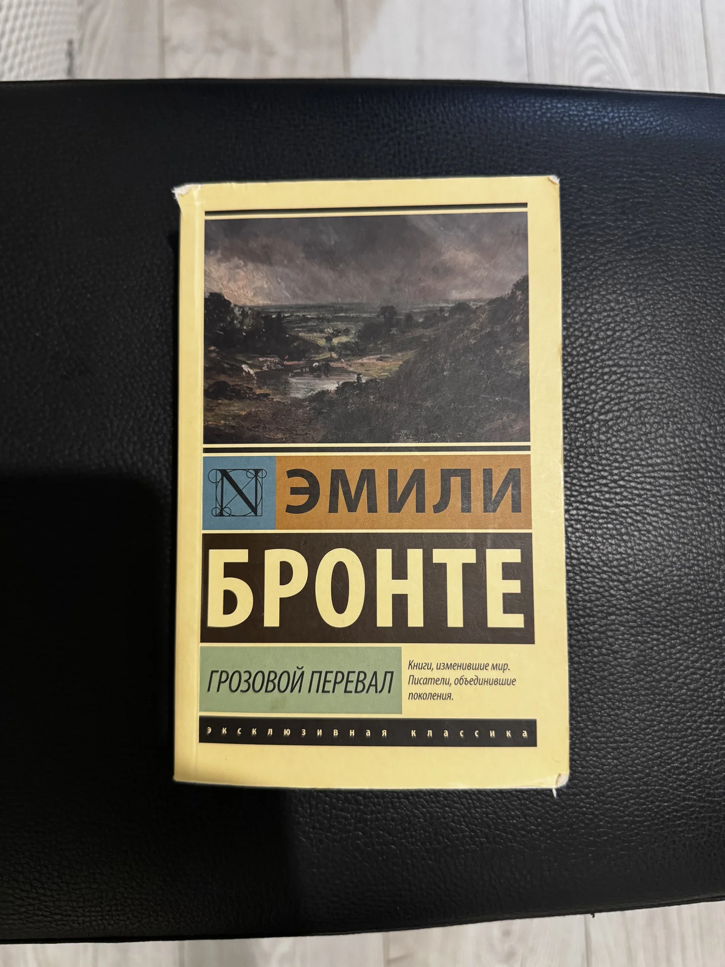Эмили Бронте «Грозовой перевал» - изображение 1