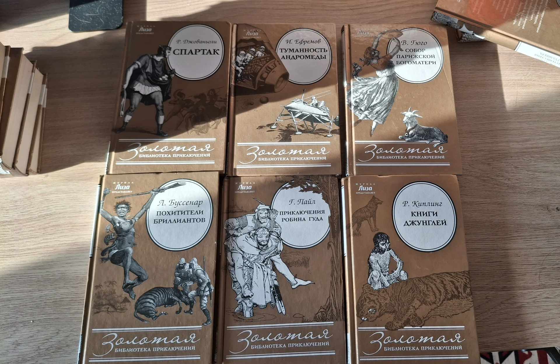 Книги выселяют меня из дома - миниатюра 13