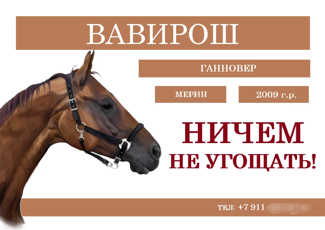 табличка на денник лошади - изображение 1