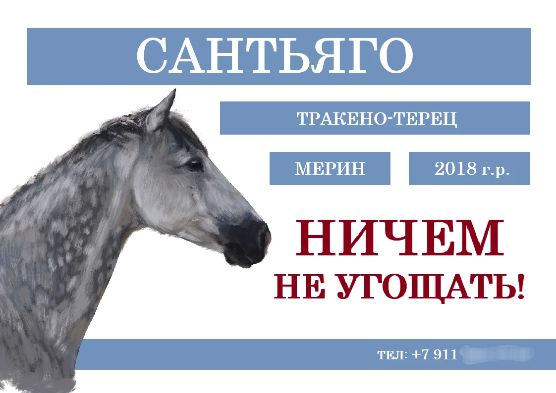 табличка на денник лошади - миниатюра 2