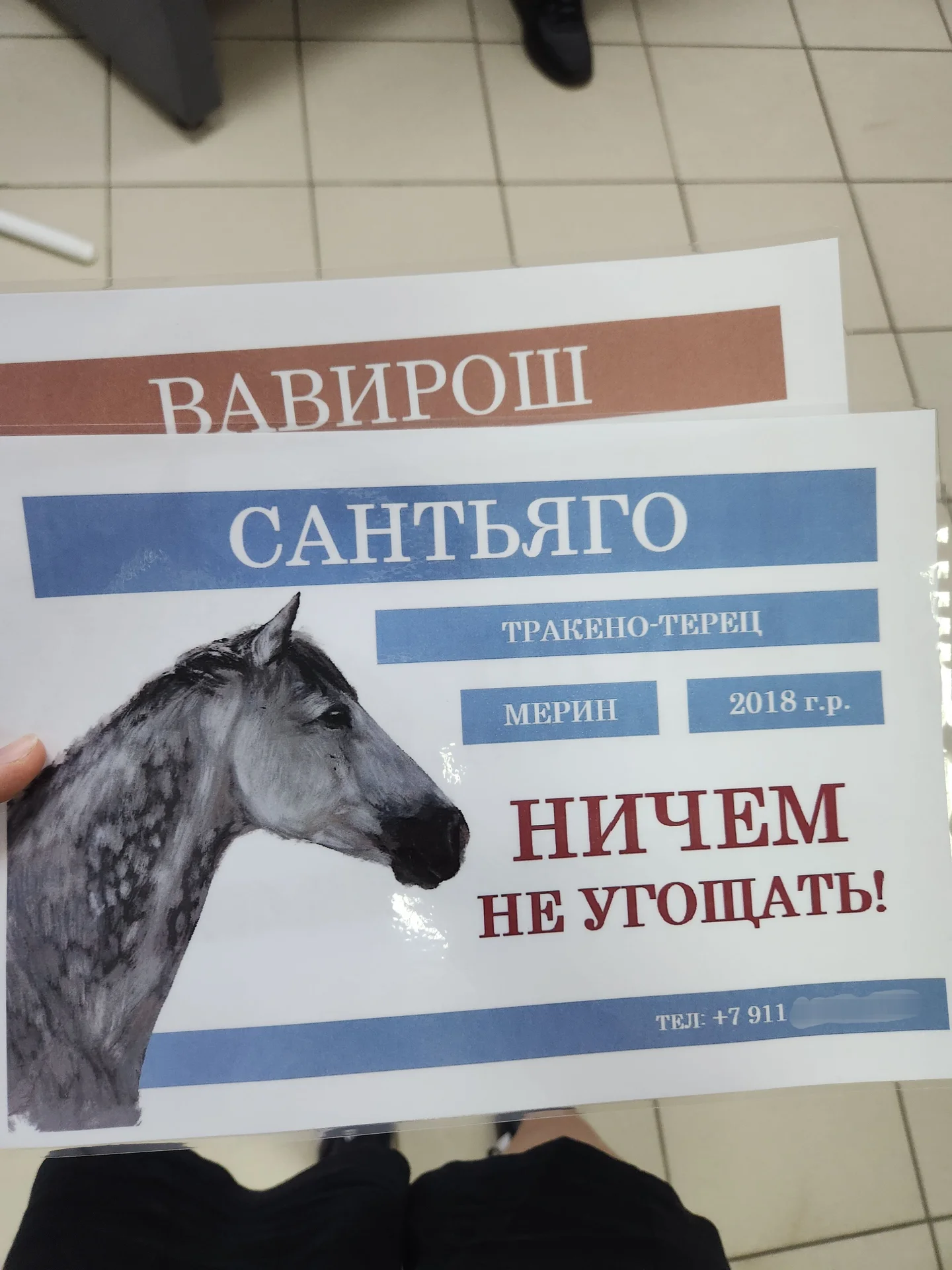 табличка на денник лошади - миниатюра 4