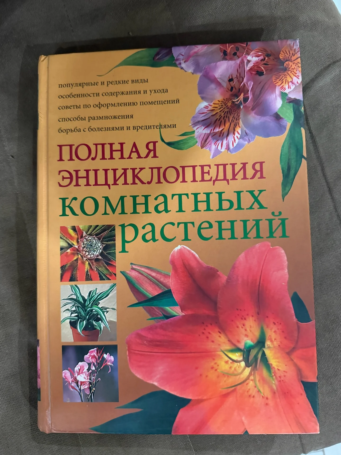 книги - изображение 1