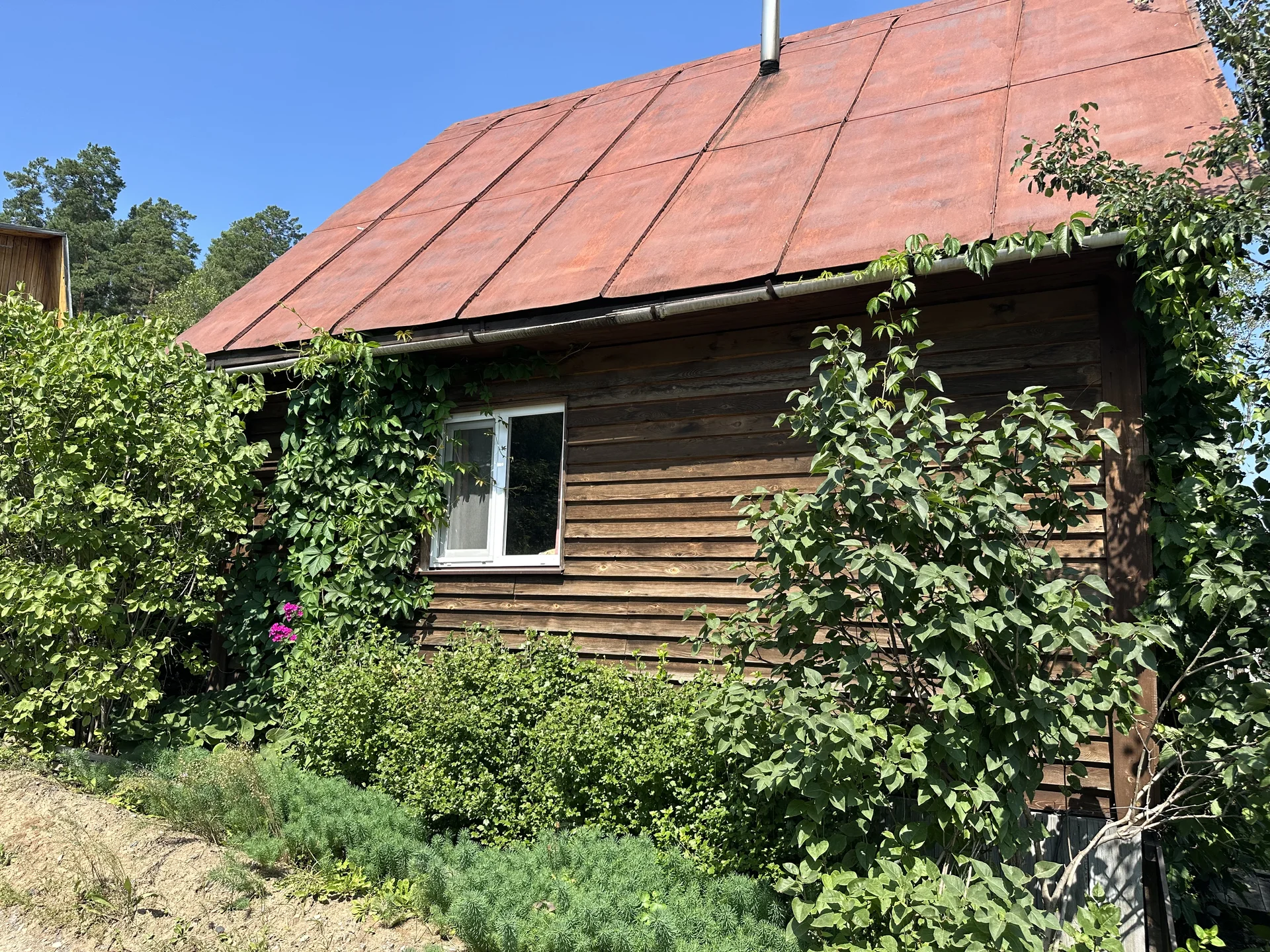 Продам дачу - изображение 1