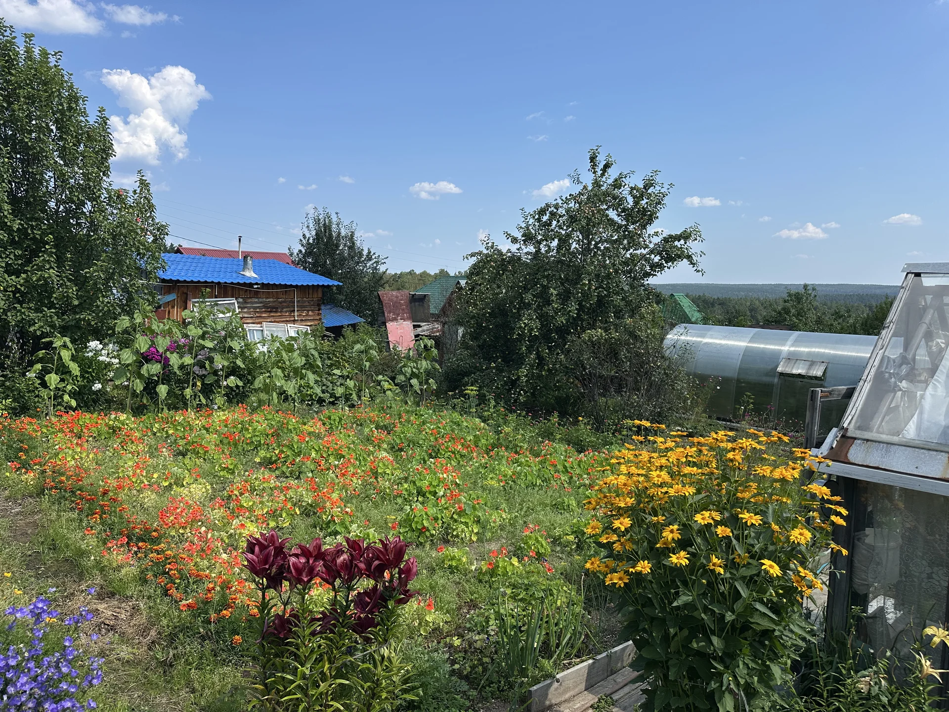 Продам дачу - миниатюра 5