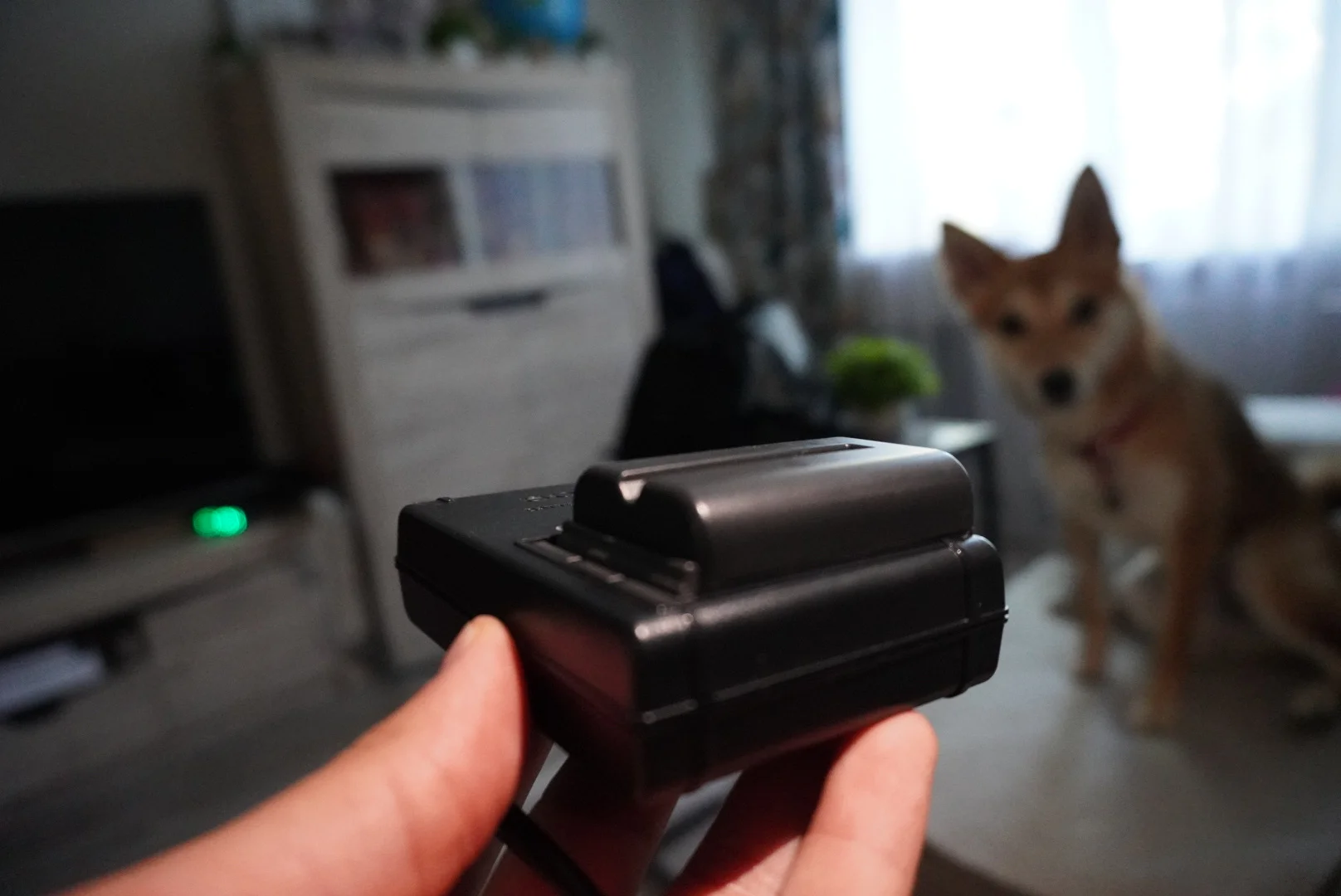 Sony a65 - миниатюра 6