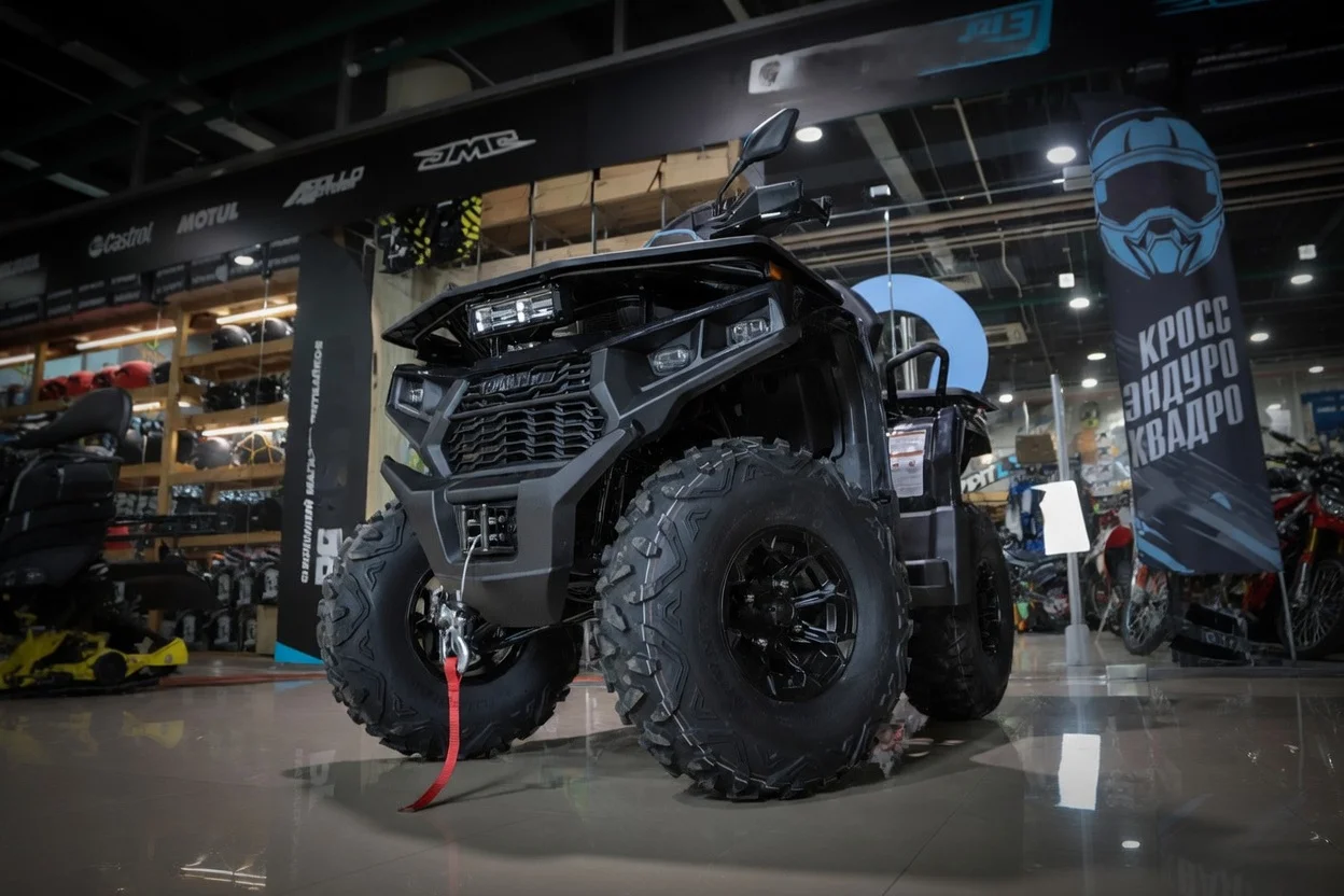 Квадроцикл Bizon YK250 LUX EFI - миниатюра 2
