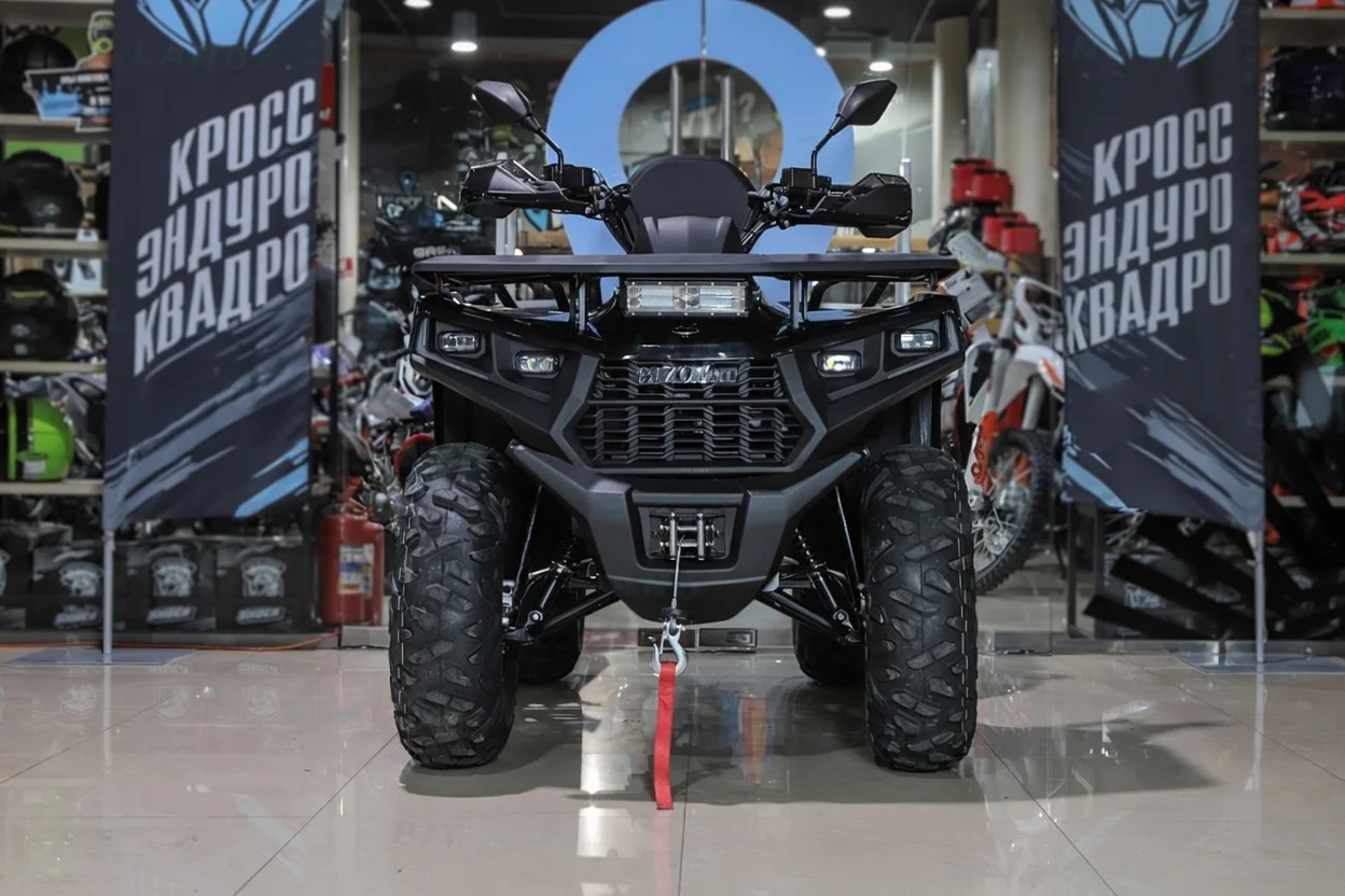 Квадроцикл Bizon YK250 LUX EFI - миниатюра 3