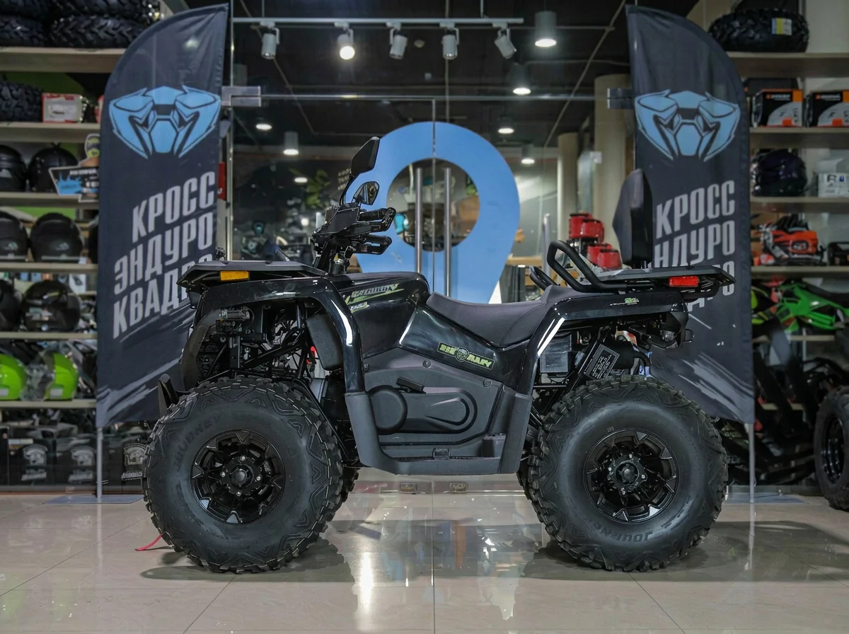 Квадроцикл Bizon YK250 LUX EFI - миниатюра 4