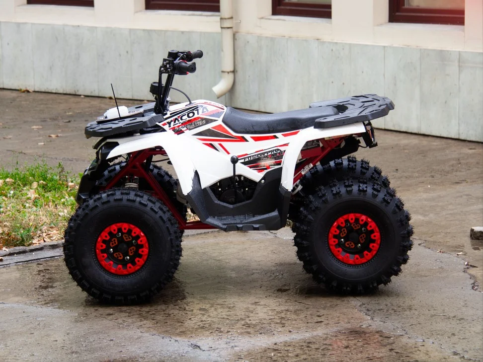 Квадроцикл Yacota Fusion Pro 125 New - миниатюра 4