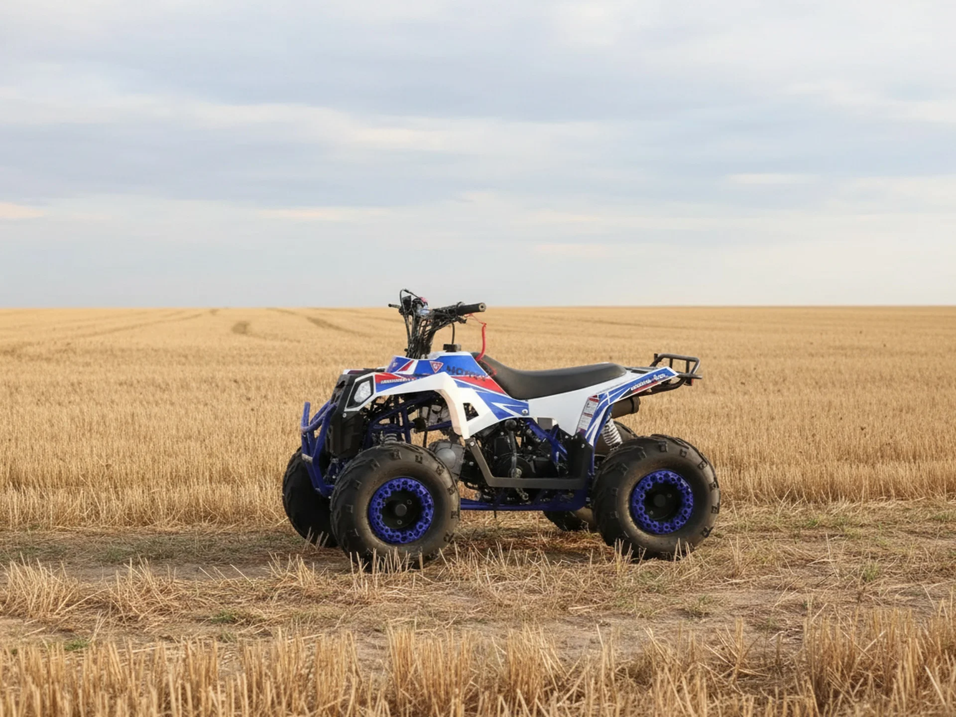 Квадроцикл детский Motax Grizlik A110 - миниатюра 2