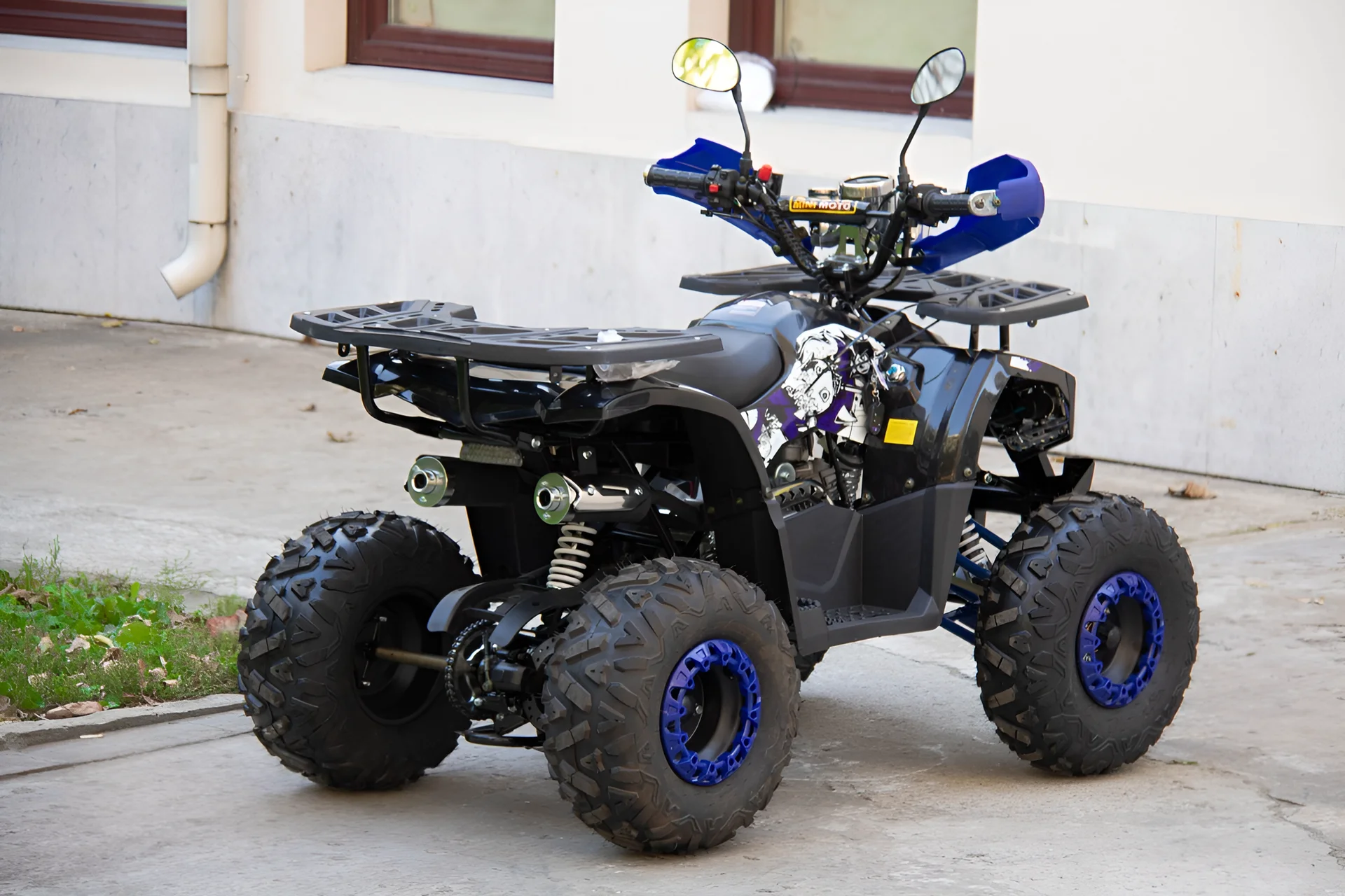 Квадроцикл UNIVERSAL 125 TM Fusion plus - миниатюра 3
