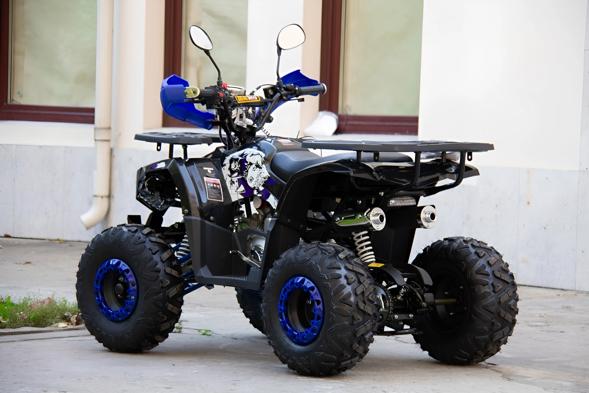 Квадроцикл UNIVERSAL 125 TM Fusion plus - миниатюра 5