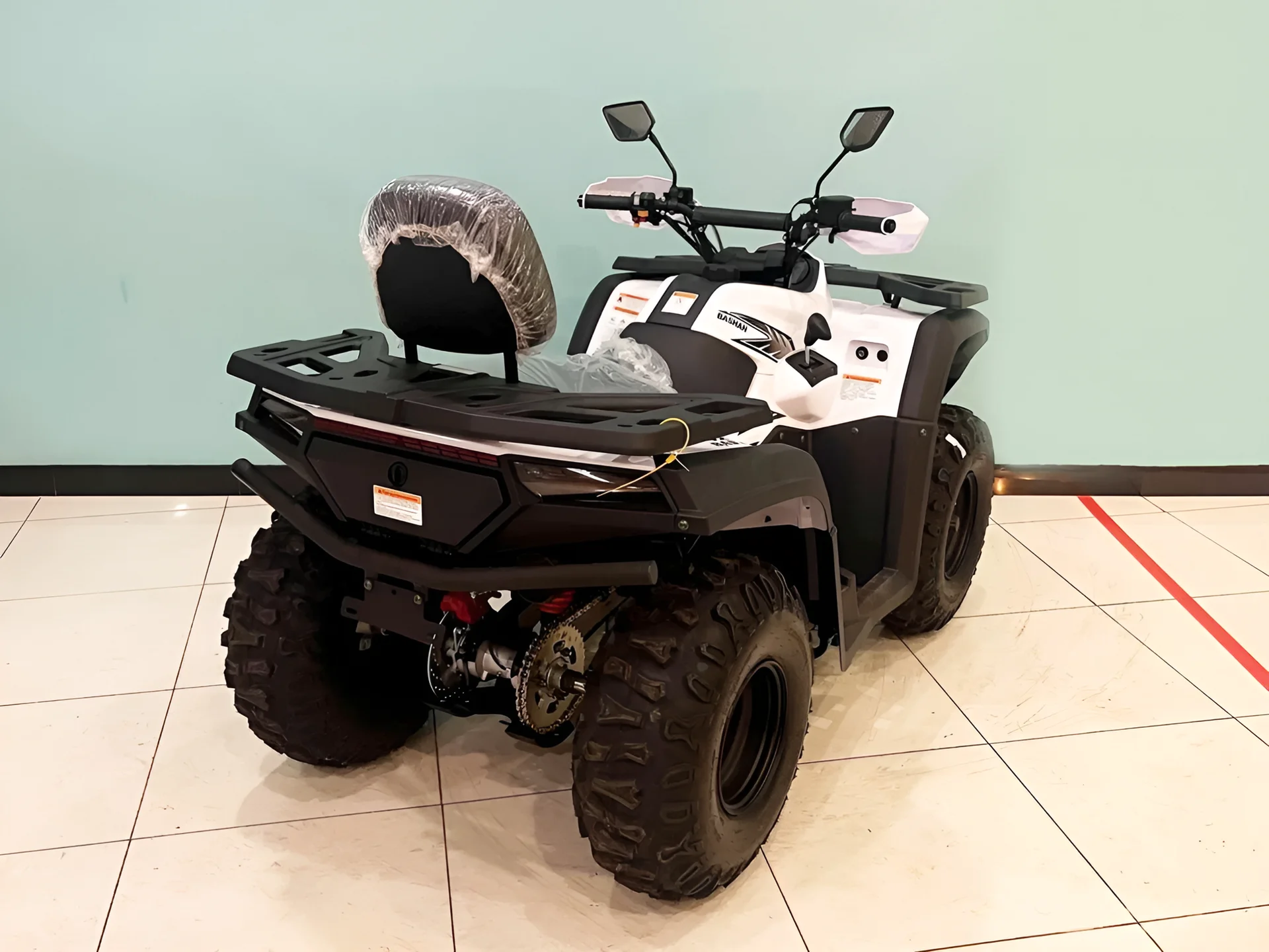 Квадроцикл Bashan Explorer 300 - миниатюра 6