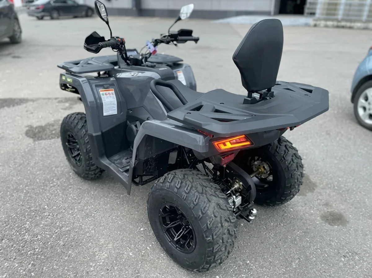 BIZON YK250 LUX EFI, 2025, 145 км - миниатюра 4