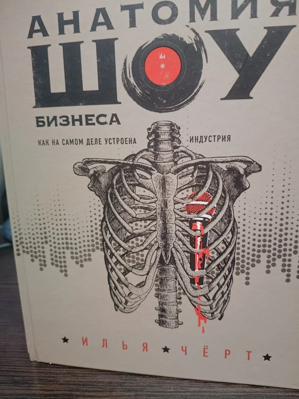 Анатомия шоу-бизнеса. Как на самом деле устроена индустрия: Илья Черт группа " Пилот"