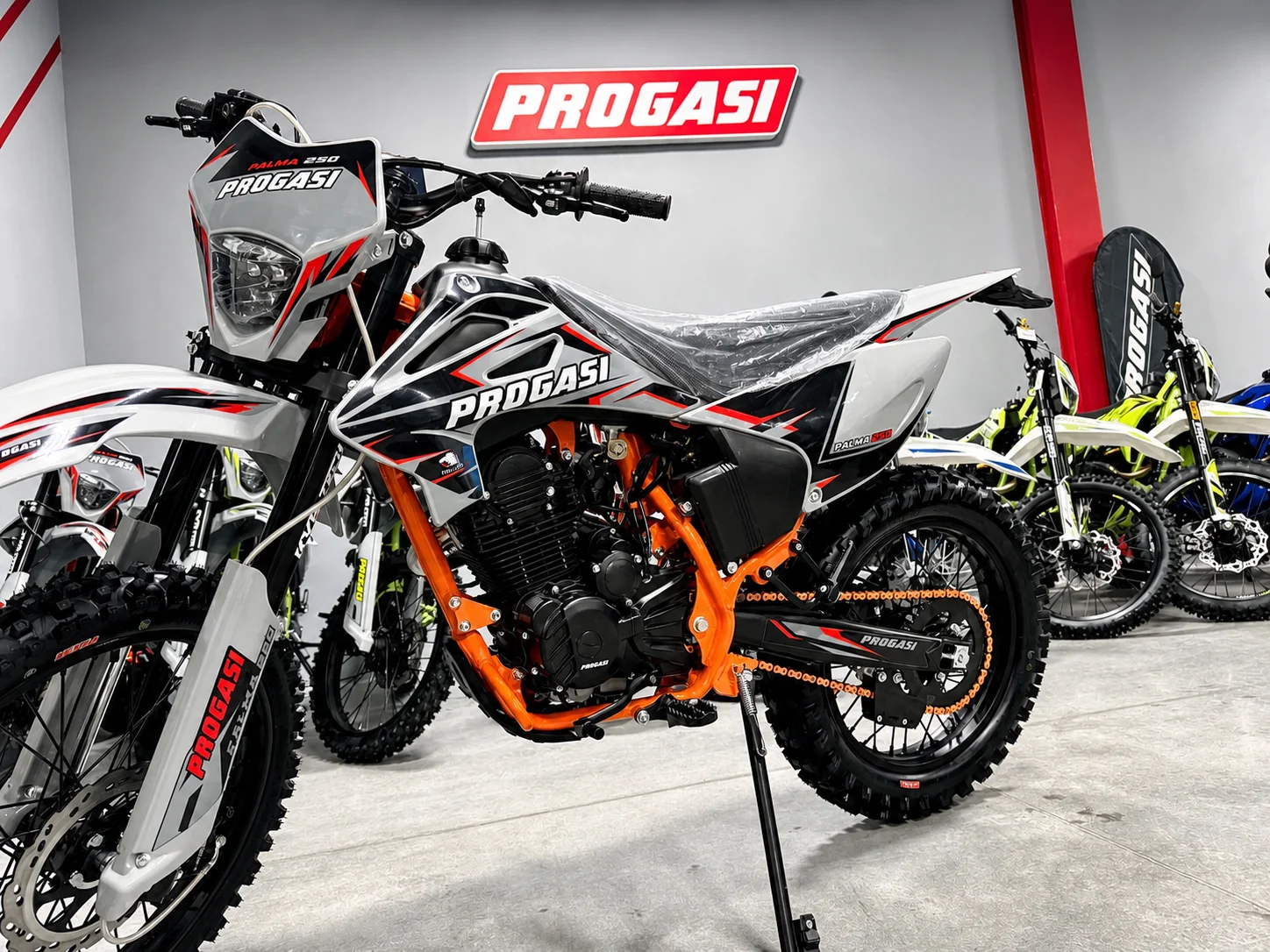 Мотоцикл Эндуро Progasi Palma 250 - миниатюра 3