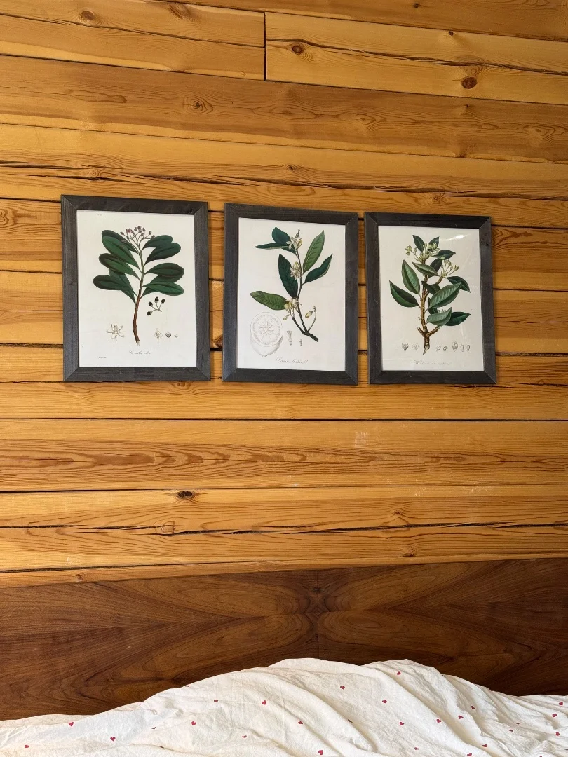 Интерьерные постеры 30*40 - изображение 1