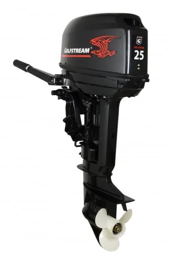 Лодочный мотор Golfstream T25BMS - изображение 1