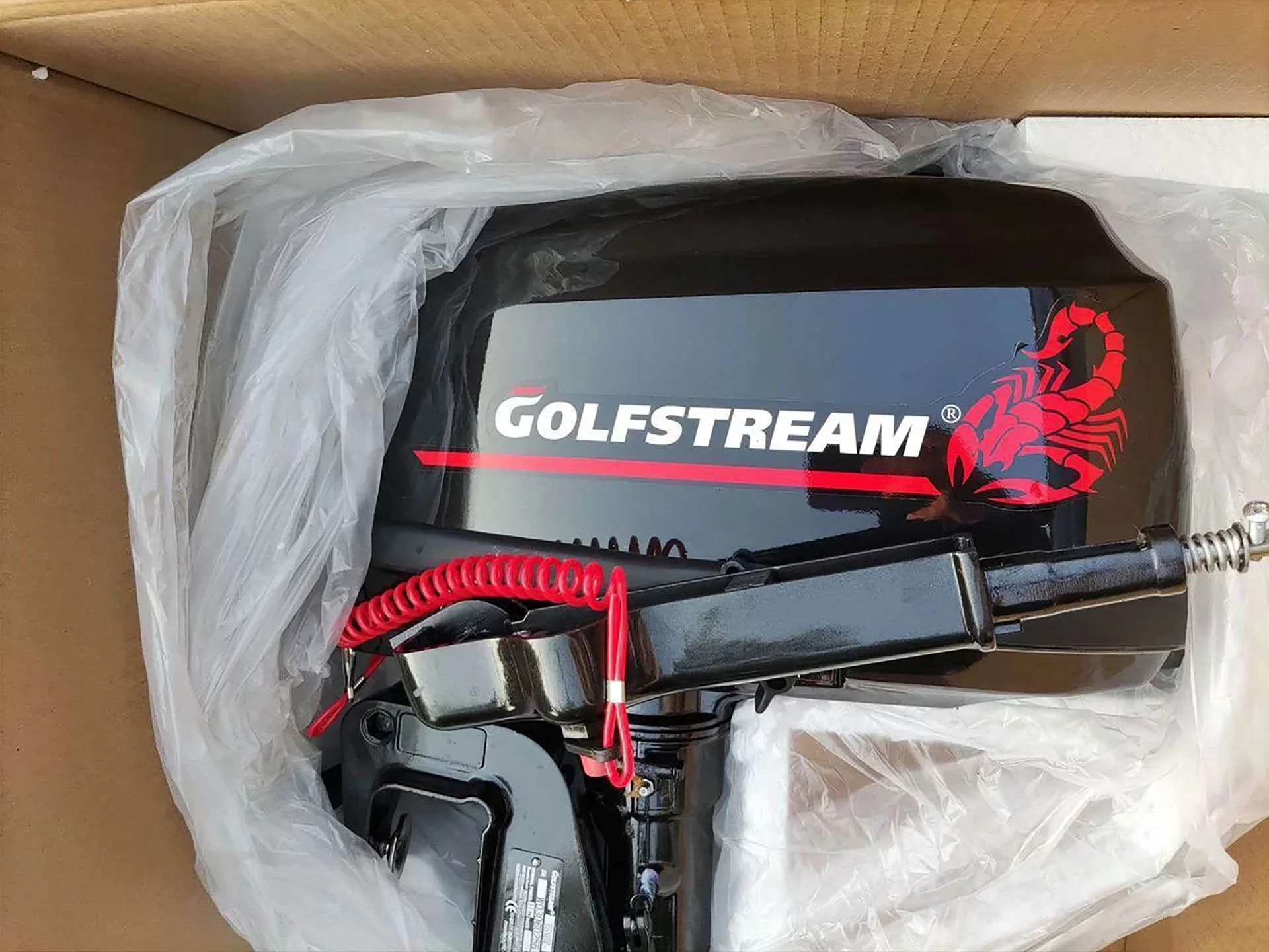 Лодочный мотор Golfstream T5BMS - изображение 1