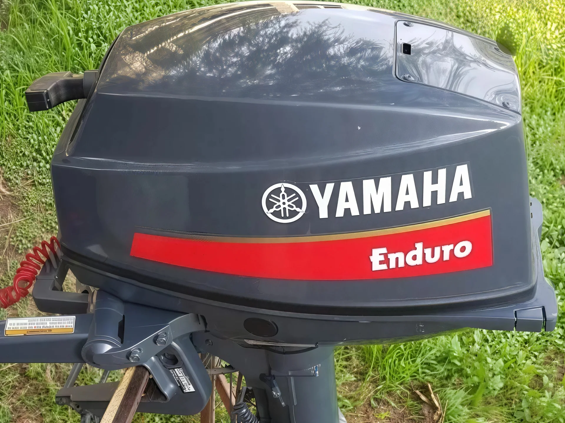Лодочный мотoр Yamaha E 8 DMHS Enduro Б/У - миниатюра 3