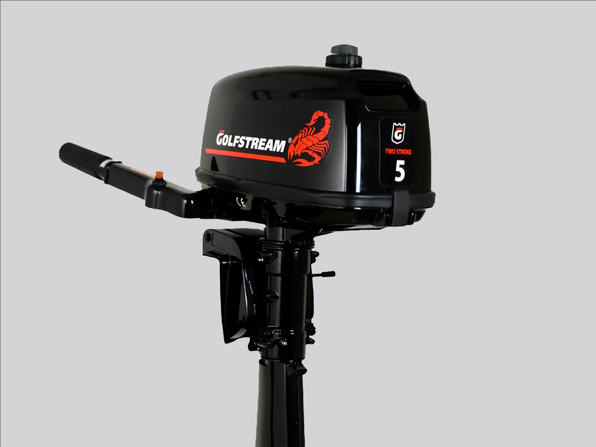 Лодочный мотор Golfstream TC5BMS - миниатюра 2