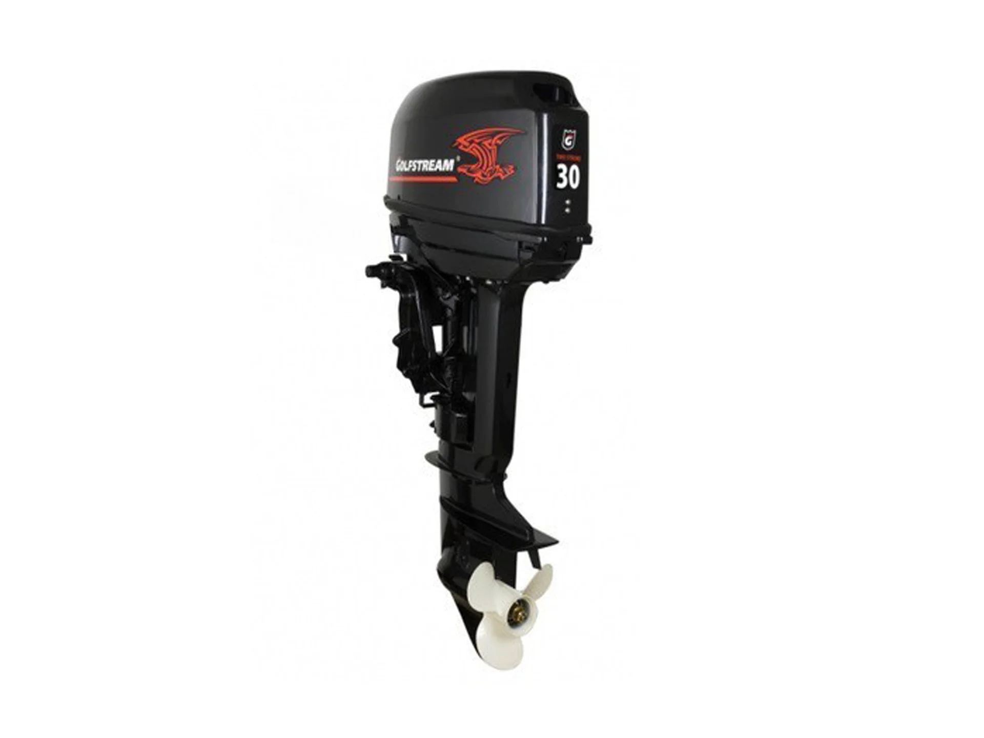 Лодочный мотор Golfstream Т30AFWS - изображение 1