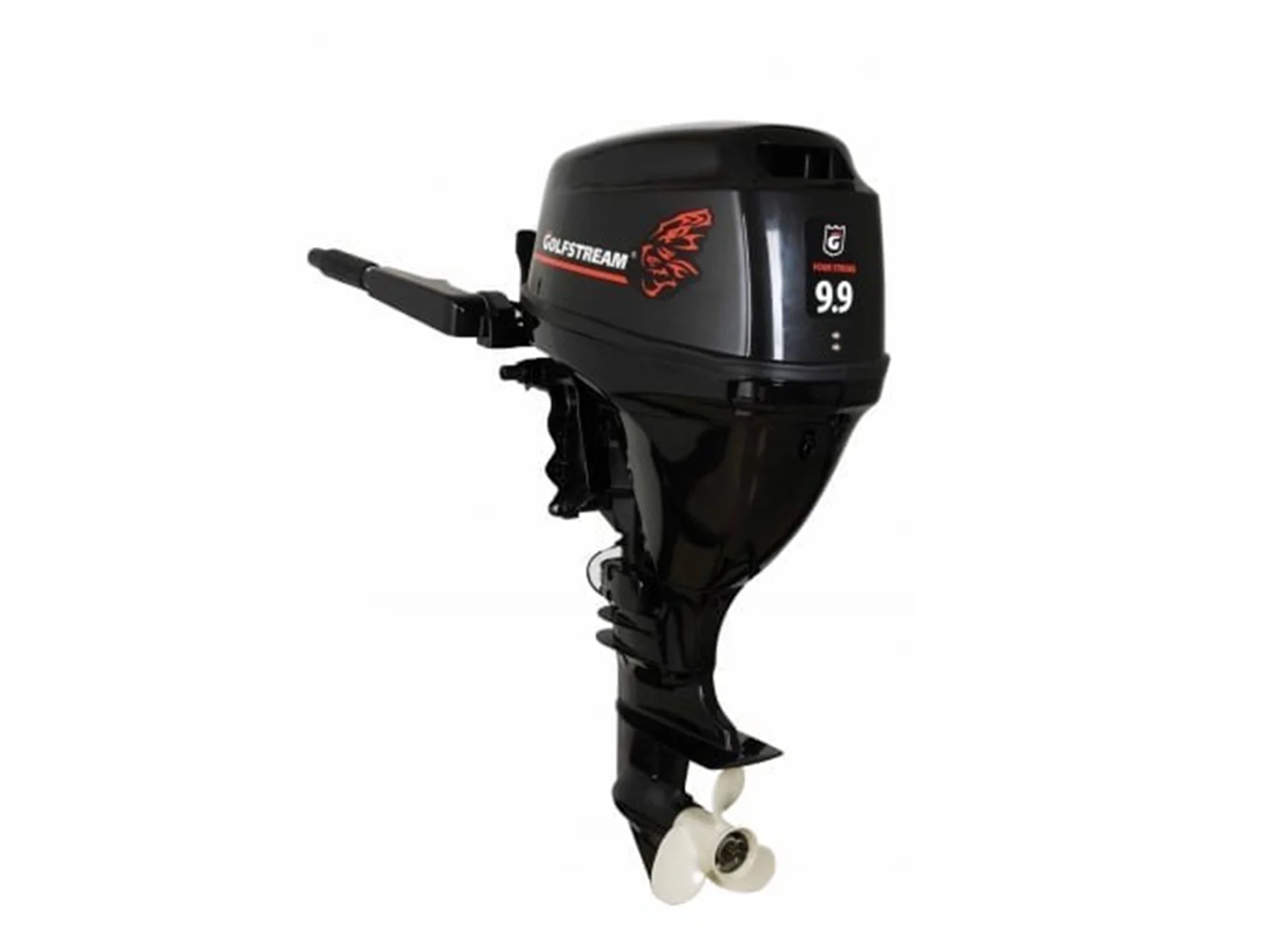 Лодочный мотор Golfstream F 9.9 BMS