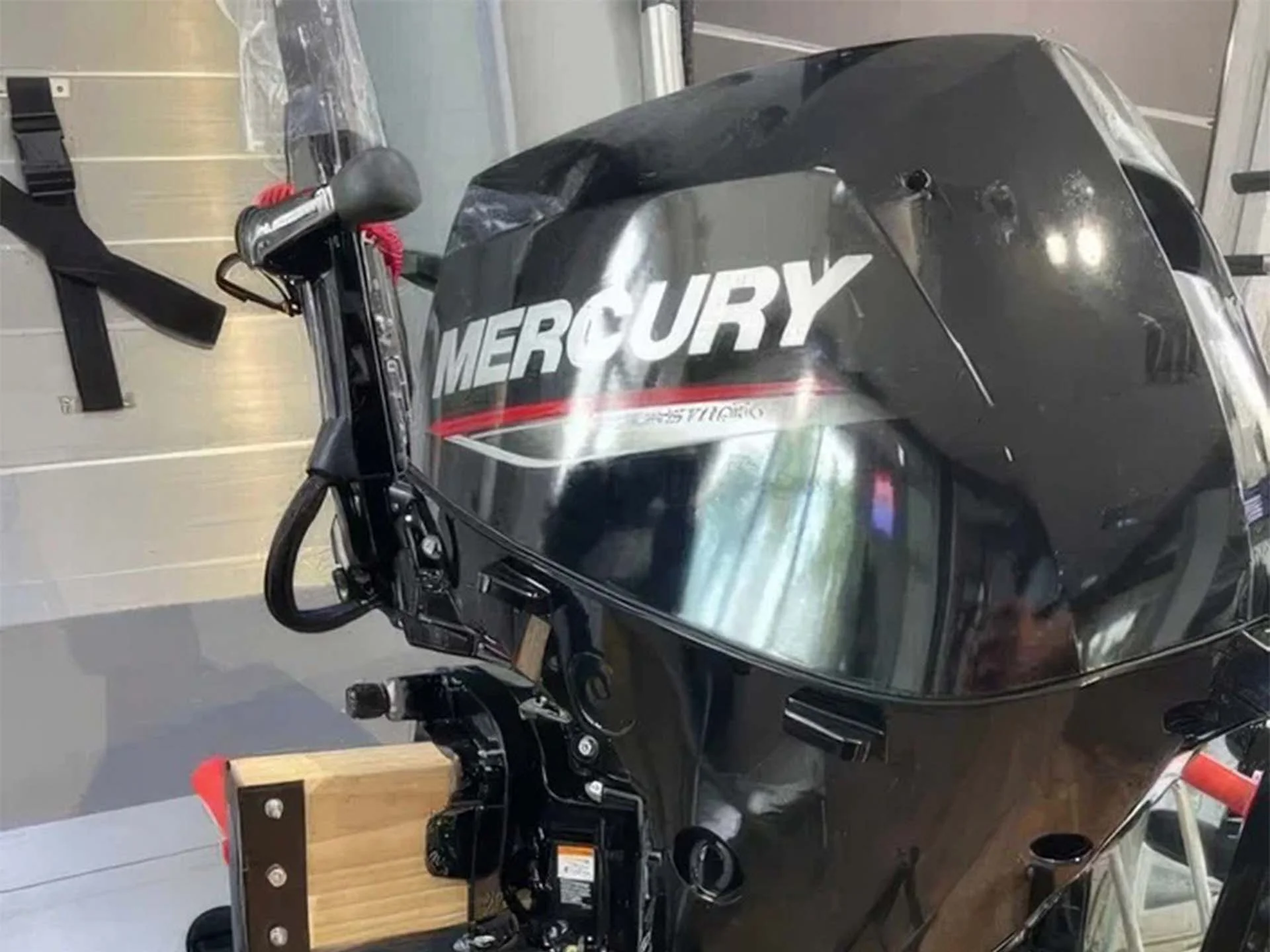 Лодочный мотор Mercury F 10 MH EFI - миниатюра 2